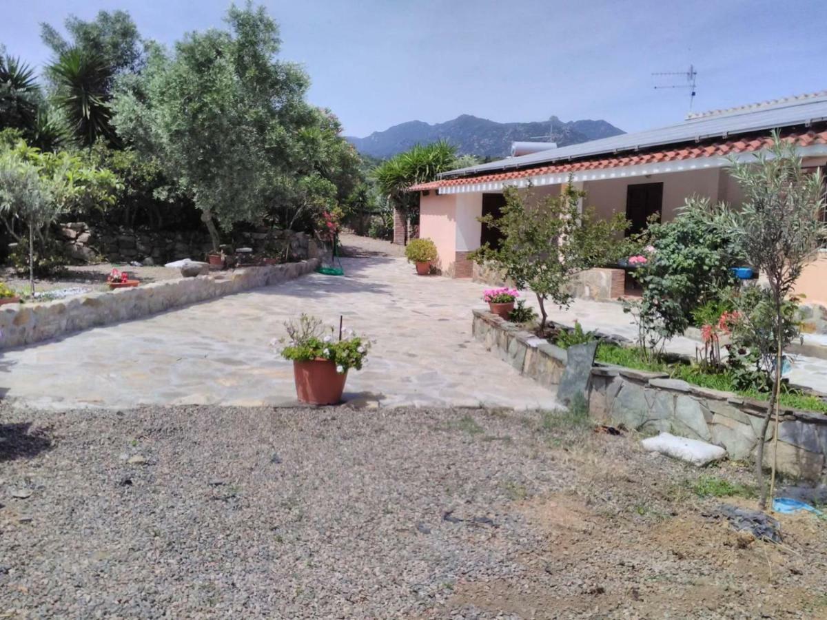 Agriturismo Camboni Villa Annunziata  Exterior photo
